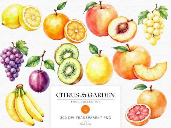 Download Watercolor Fruits - Citrus and Garden - Fruits Collection